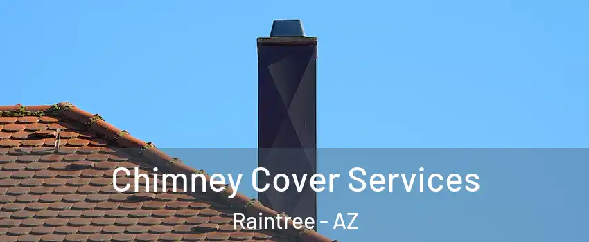 Chimney Cover Services Raintree - AZ