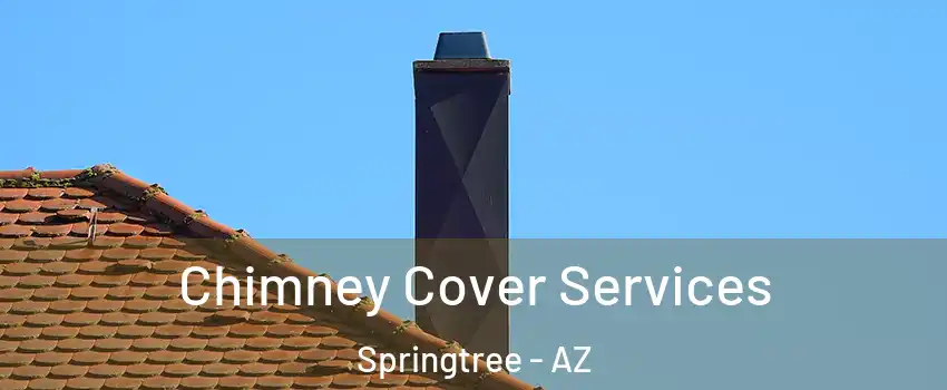 Chimney Cover Services Springtree - AZ