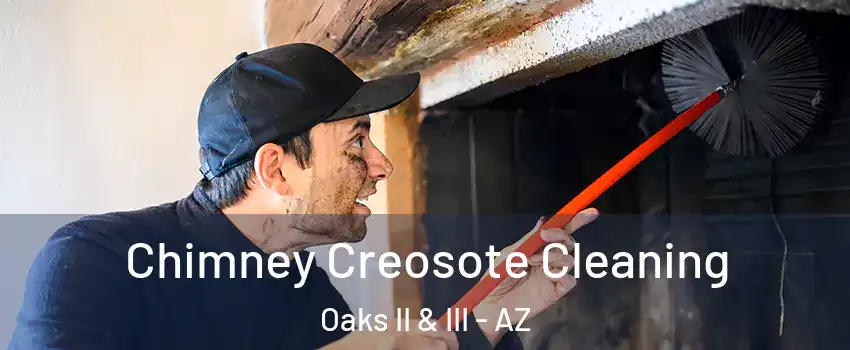 Chimney Creosote Cleaning Oaks II & III - AZ