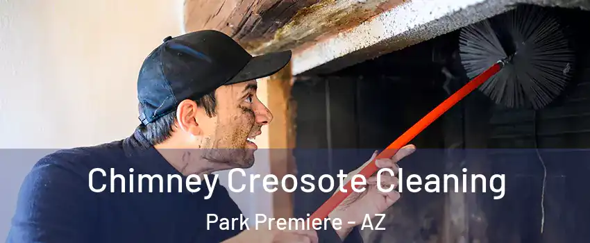 Chimney Creosote Cleaning Park Premiere - AZ