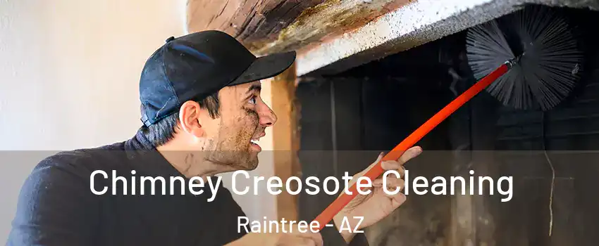 Chimney Creosote Cleaning Raintree - AZ