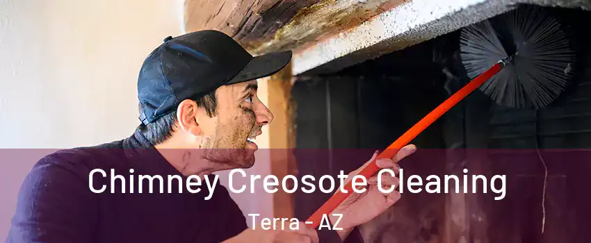 Chimney Creosote Cleaning Terra - AZ