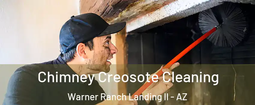 Chimney Creosote Cleaning Warner Ranch Landing II - AZ