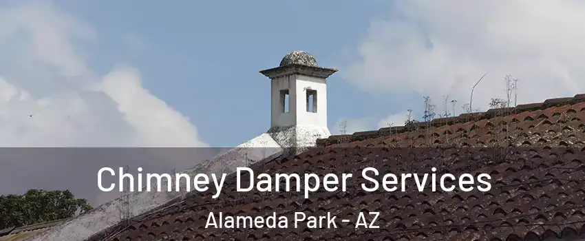 Chimney Damper Services Alameda Park - AZ