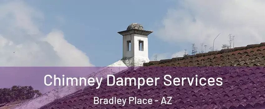 Chimney Damper Services Bradley Place - AZ