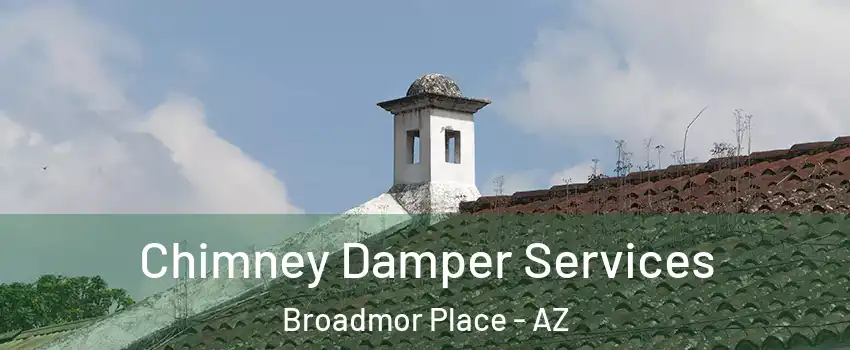 Chimney Damper Services Broadmor Place - AZ