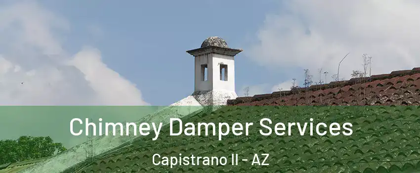 Chimney Damper Services Capistrano II - AZ