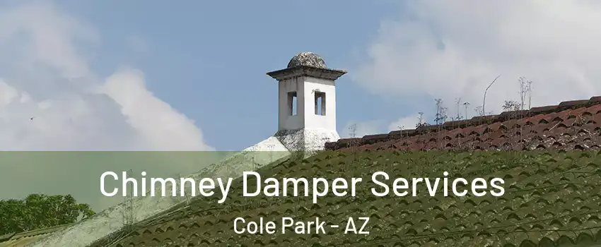 Chimney Damper Services Cole Park - AZ