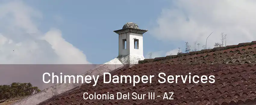 Chimney Damper Services Colonia Del Sur III - AZ