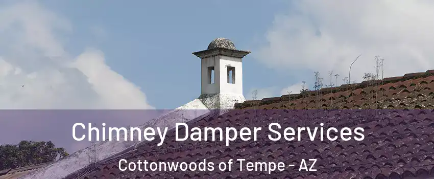 Chimney Damper Services Cottonwoods of Tempe - AZ