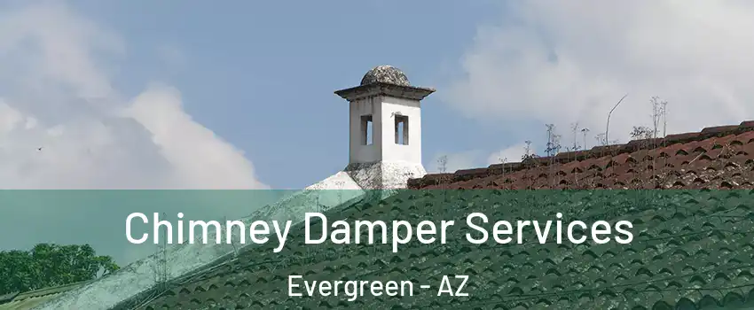 Chimney Damper Services Evergreen - AZ