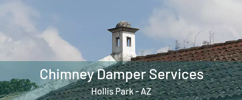 Chimney Damper Services Hollis Park - AZ