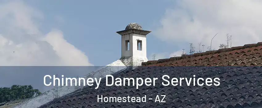 Chimney Damper Services Homestead - AZ