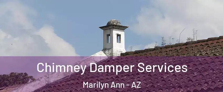 Chimney Damper Services Marilyn Ann - AZ