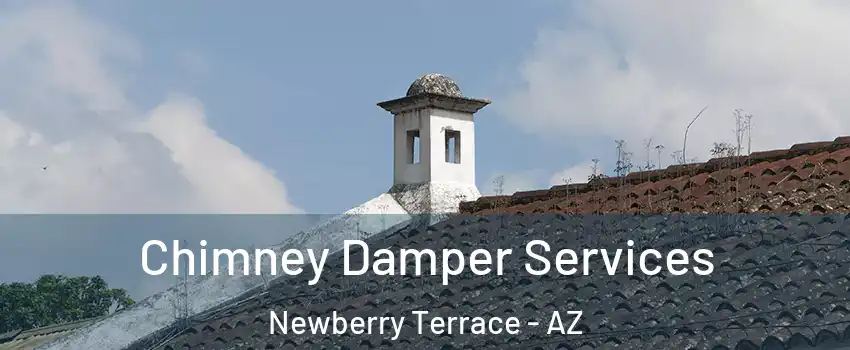 Chimney Damper Services Newberry Terrace - AZ