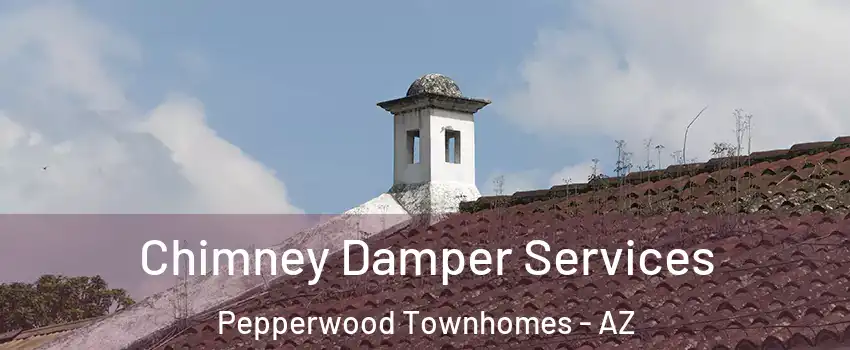 Chimney Damper Services Pepperwood Townhomes - AZ