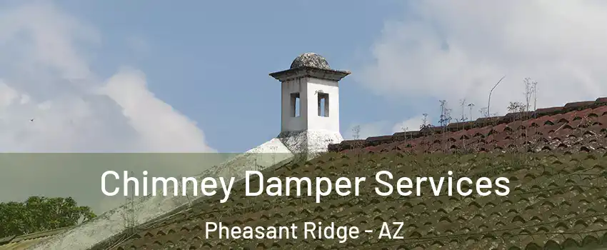 Chimney Damper Services Pheasant Ridge - AZ