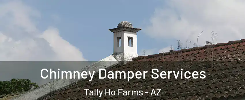 Chimney Damper Services Tally Ho Farms - AZ