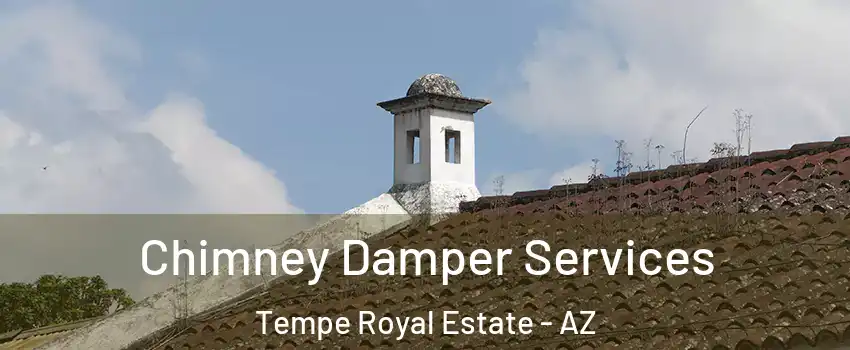 Chimney Damper Services Tempe Royal Estate - AZ
