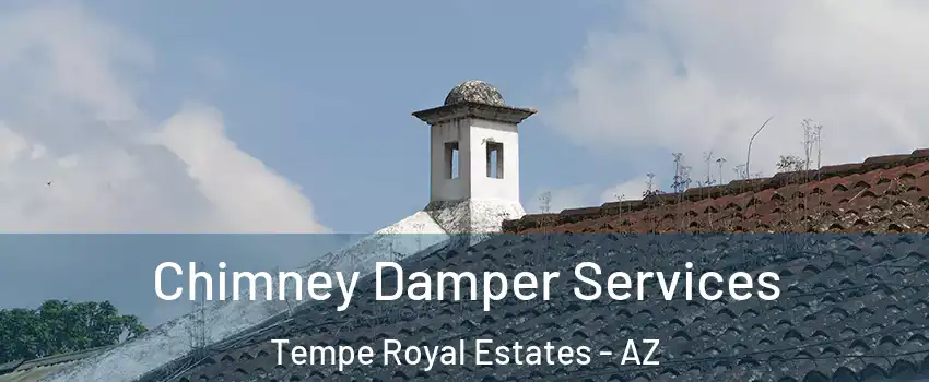 Chimney Damper Services Tempe Royal Estates - AZ