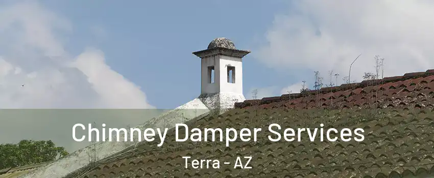 Chimney Damper Services Terra - AZ