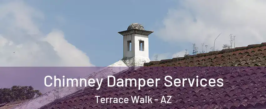 Chimney Damper Services Terrace Walk - AZ