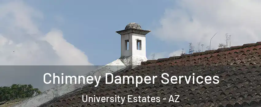 Chimney Damper Services University Estates - AZ