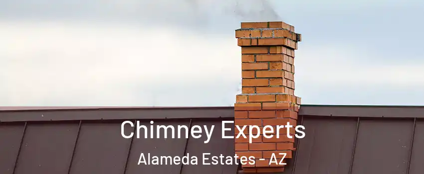 Chimney Experts Alameda Estates - AZ