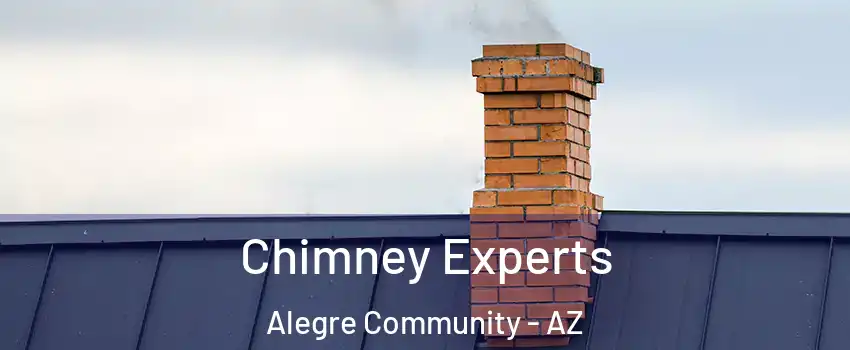 Chimney Experts Alegre Community - AZ