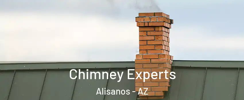 Chimney Experts Alisanos - AZ