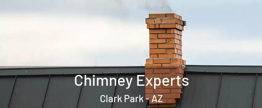 Chimney Experts Clark Park - AZ