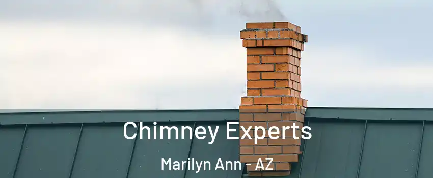 Chimney Experts Marilyn Ann - AZ
