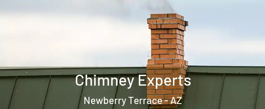 Chimney Experts Newberry Terrace - AZ