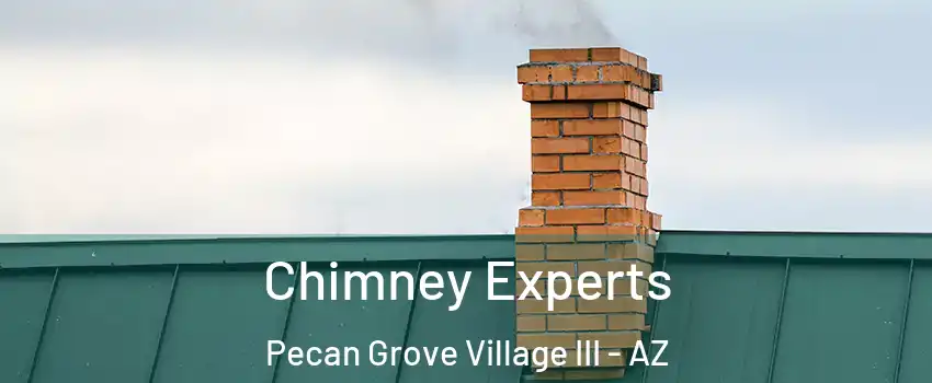Chimney Experts Pecan Grove Village III - AZ