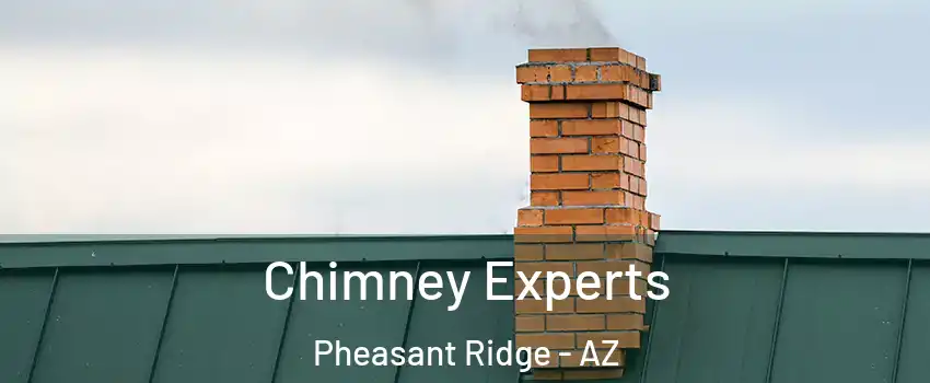 Chimney Experts Pheasant Ridge - AZ