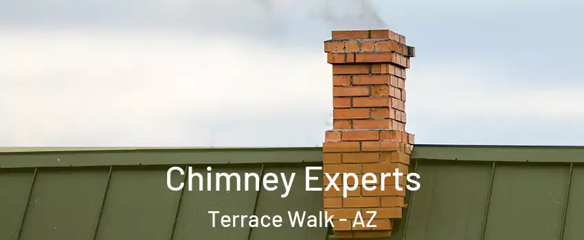 Chimney Experts Terrace Walk - AZ