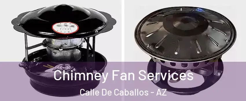 Chimney Fan Services Calle De Caballos - AZ