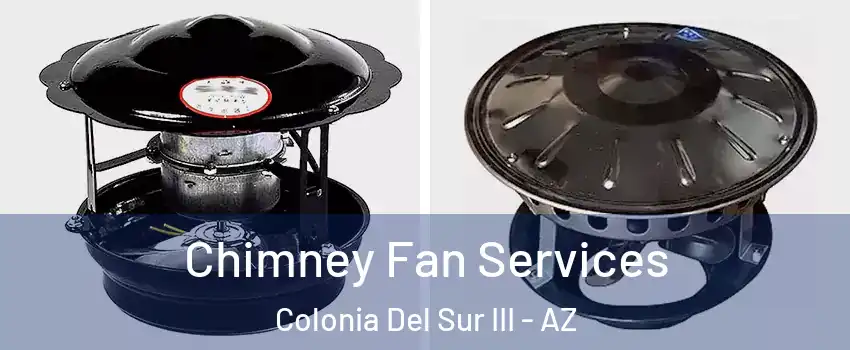 Chimney Fan Services Colonia Del Sur III - AZ