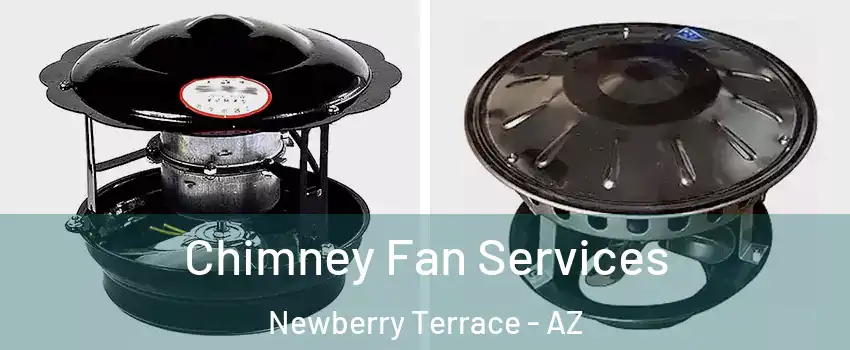 Chimney Fan Services Newberry Terrace - AZ