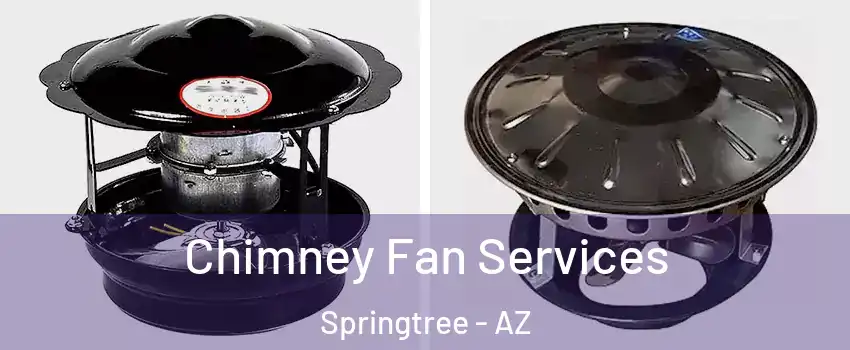 Chimney Fan Services Springtree - AZ