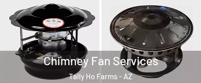 Chimney Fan Services Tally Ho Farms - AZ