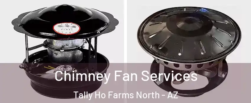 Chimney Fan Services Tally Ho Farms North - AZ