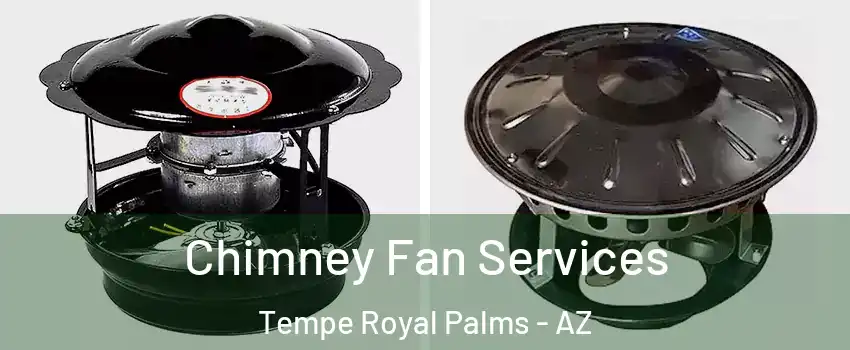 Chimney Fan Services Tempe Royal Palms - AZ