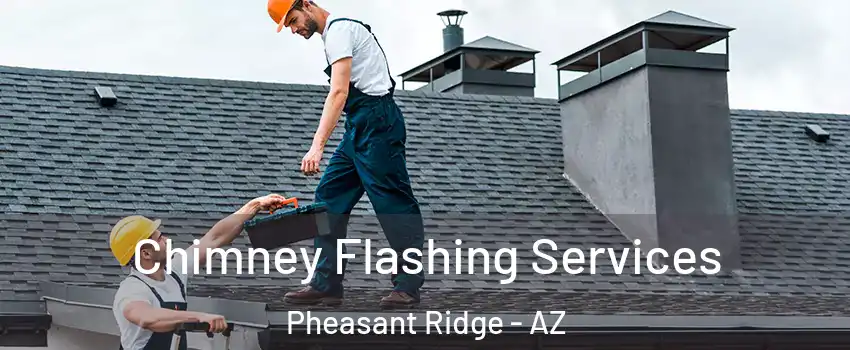 Chimney Flashing Services Pheasant Ridge - AZ