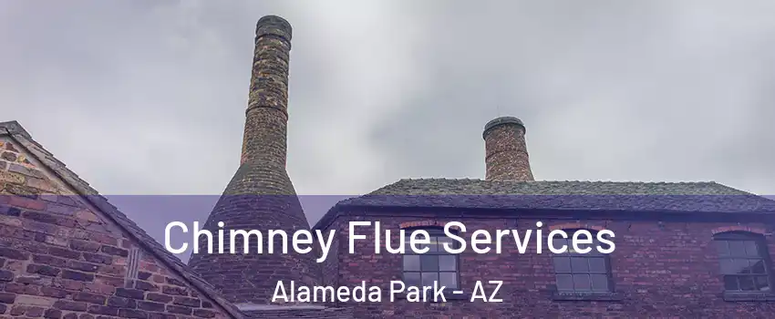 Chimney Flue Services Alameda Park - AZ