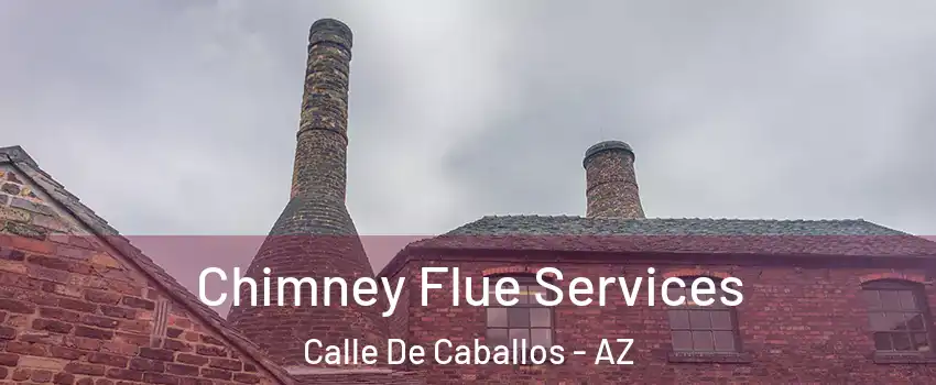 Chimney Flue Services Calle De Caballos - AZ