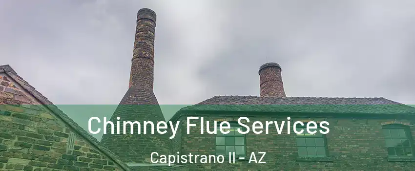 Chimney Flue Services Capistrano II - AZ