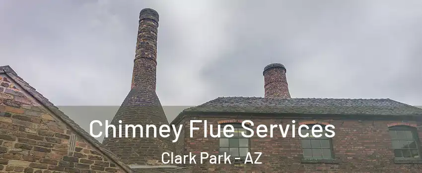Chimney Flue Services Clark Park - AZ