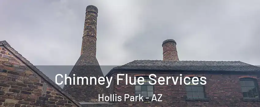 Chimney Flue Services Hollis Park - AZ
