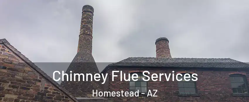 Chimney Flue Services Homestead - AZ